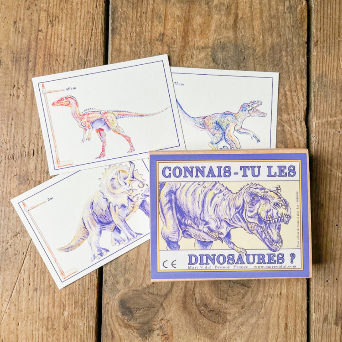 Jeu de cartes : connais-tu les dinosaures ? – Image 3