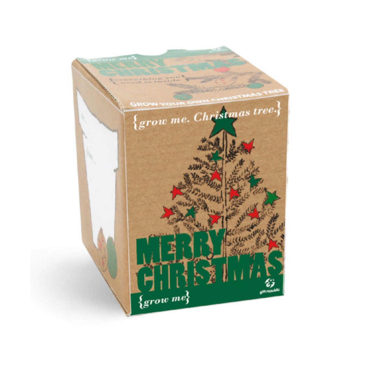 Petit Kit – Sapin de Noël à faire pousser – Image 2