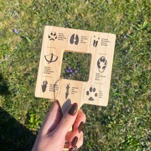 Cadre explorateur traces d&rsquo;animaux