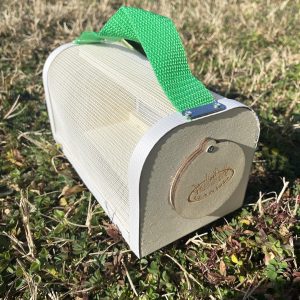 Boîte d&rsquo;observation des insectes